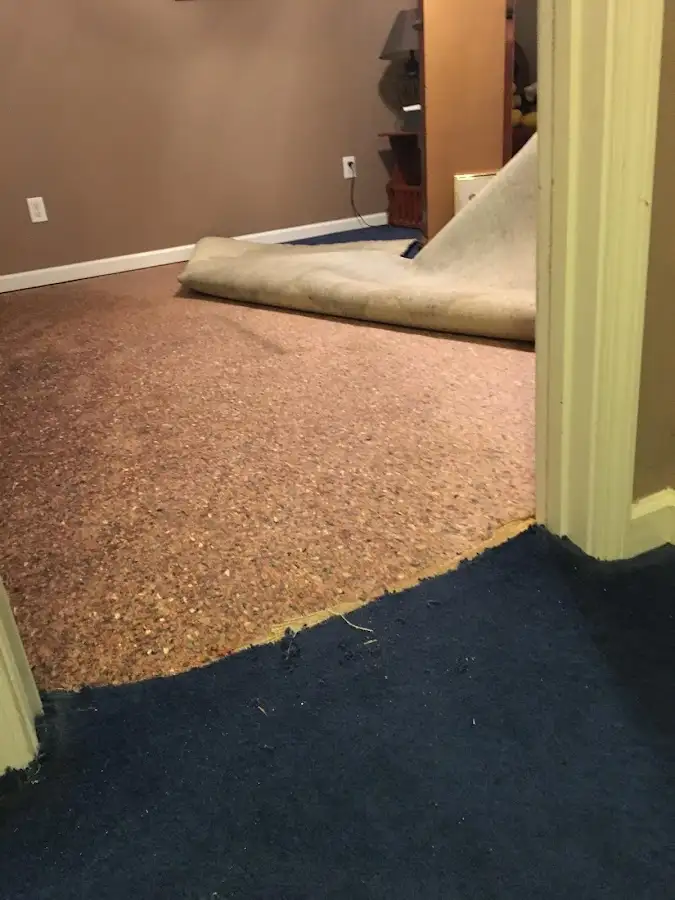 Carpet pad removal revealing water damage during Drying & Dehumidification in Englewood